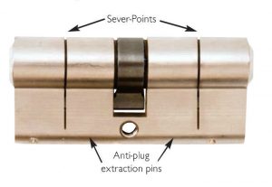 DGSecure cylinder sever points