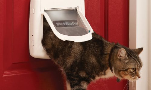 Cat using the Staywell Deluxe Magnetic Cat Flap