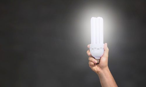 Man holding an illuminated eco-friendly light bulb
